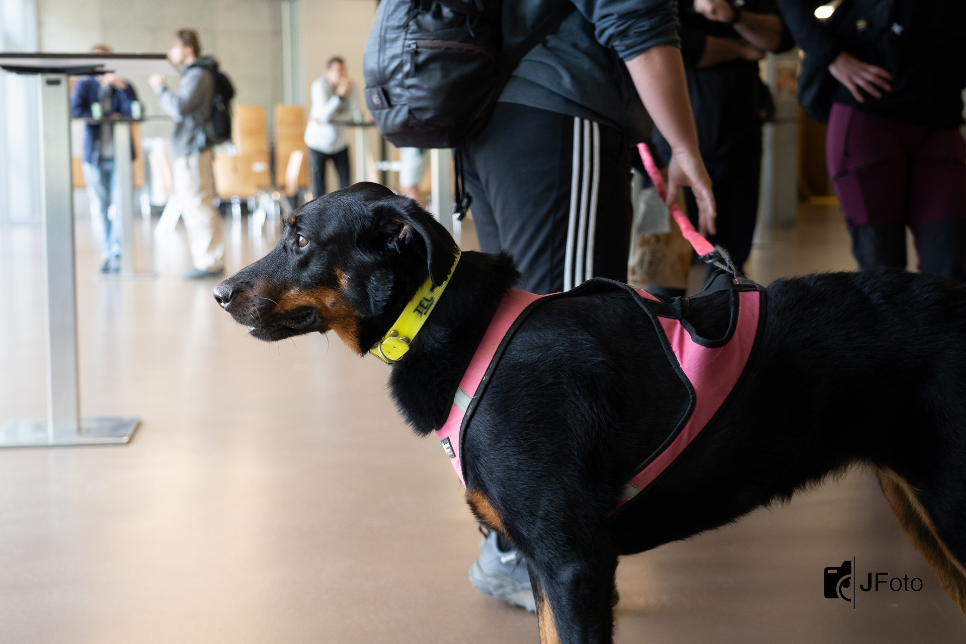 Val de Bagnes 2025 – 4