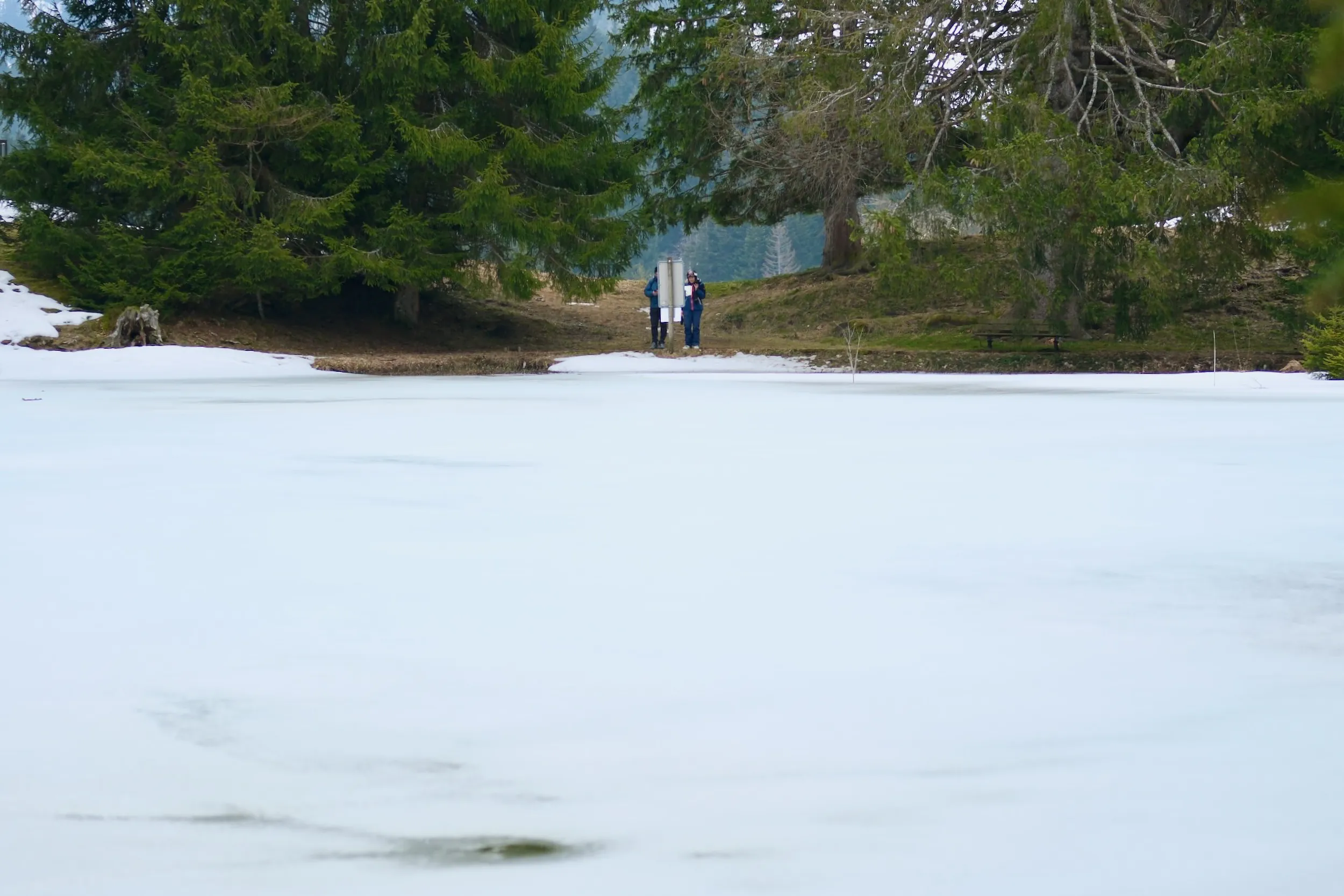 Les Paccots 2026 – 25