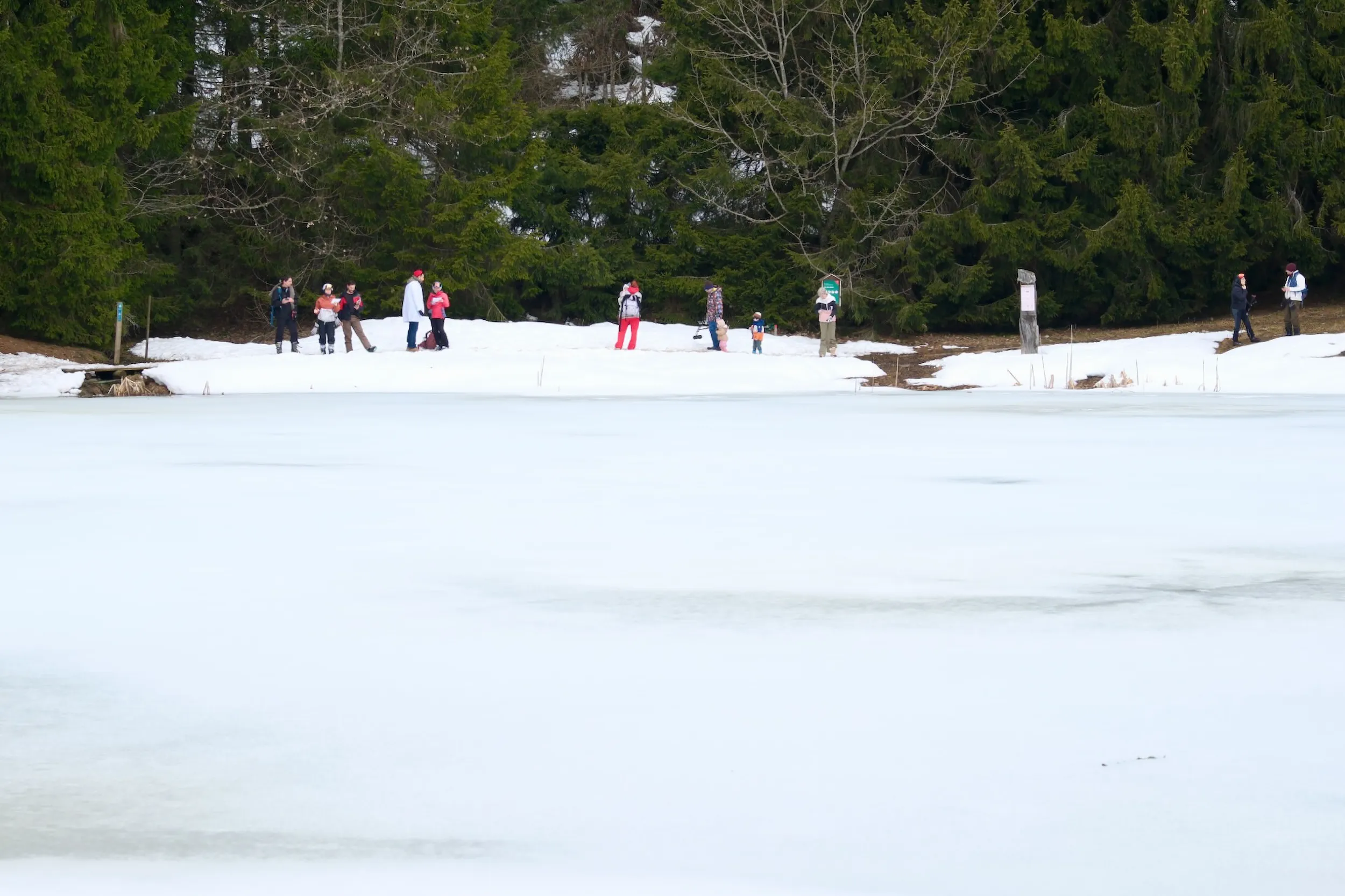 Les Paccots 2026 – 37