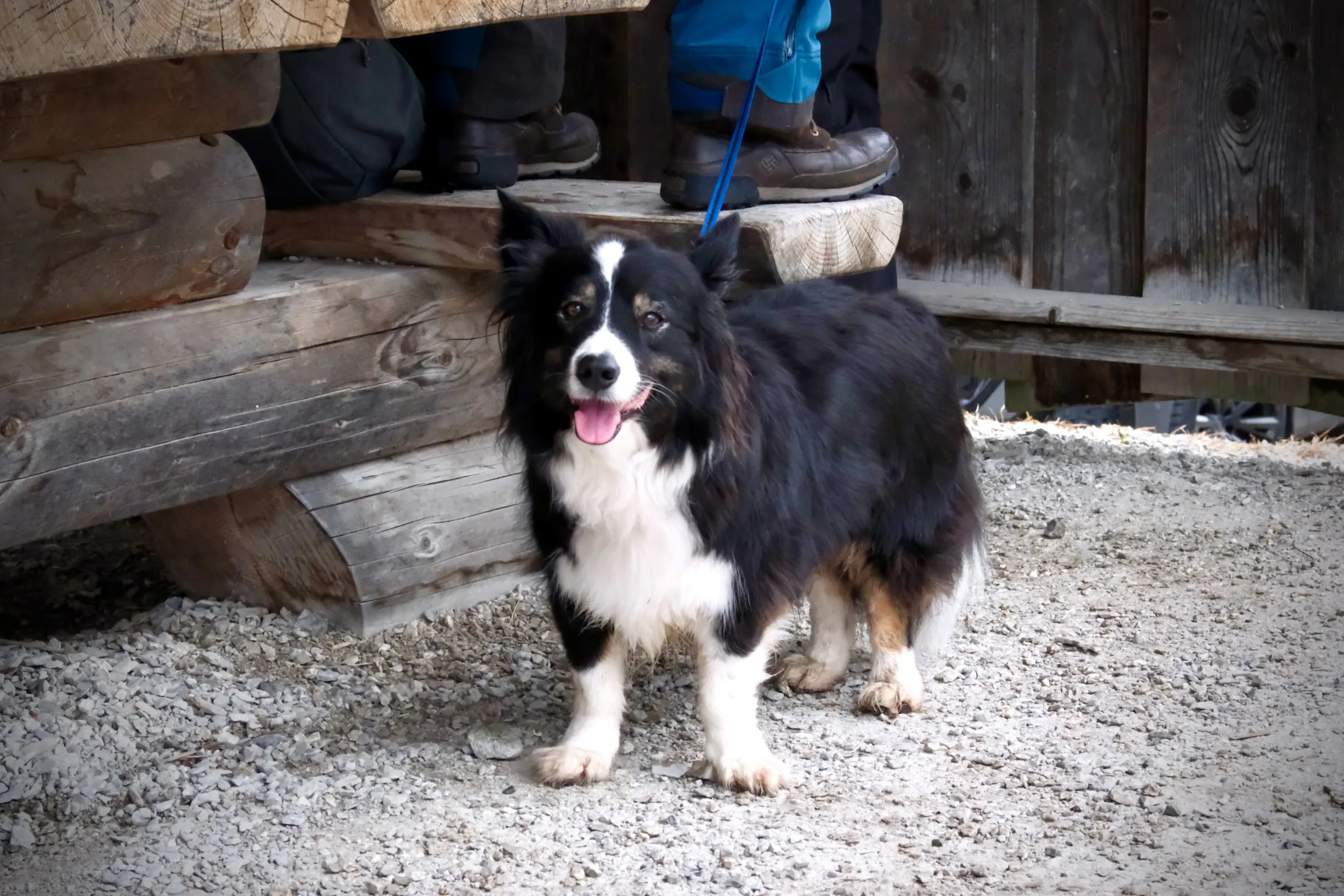 Les Paccots 2026 – 101