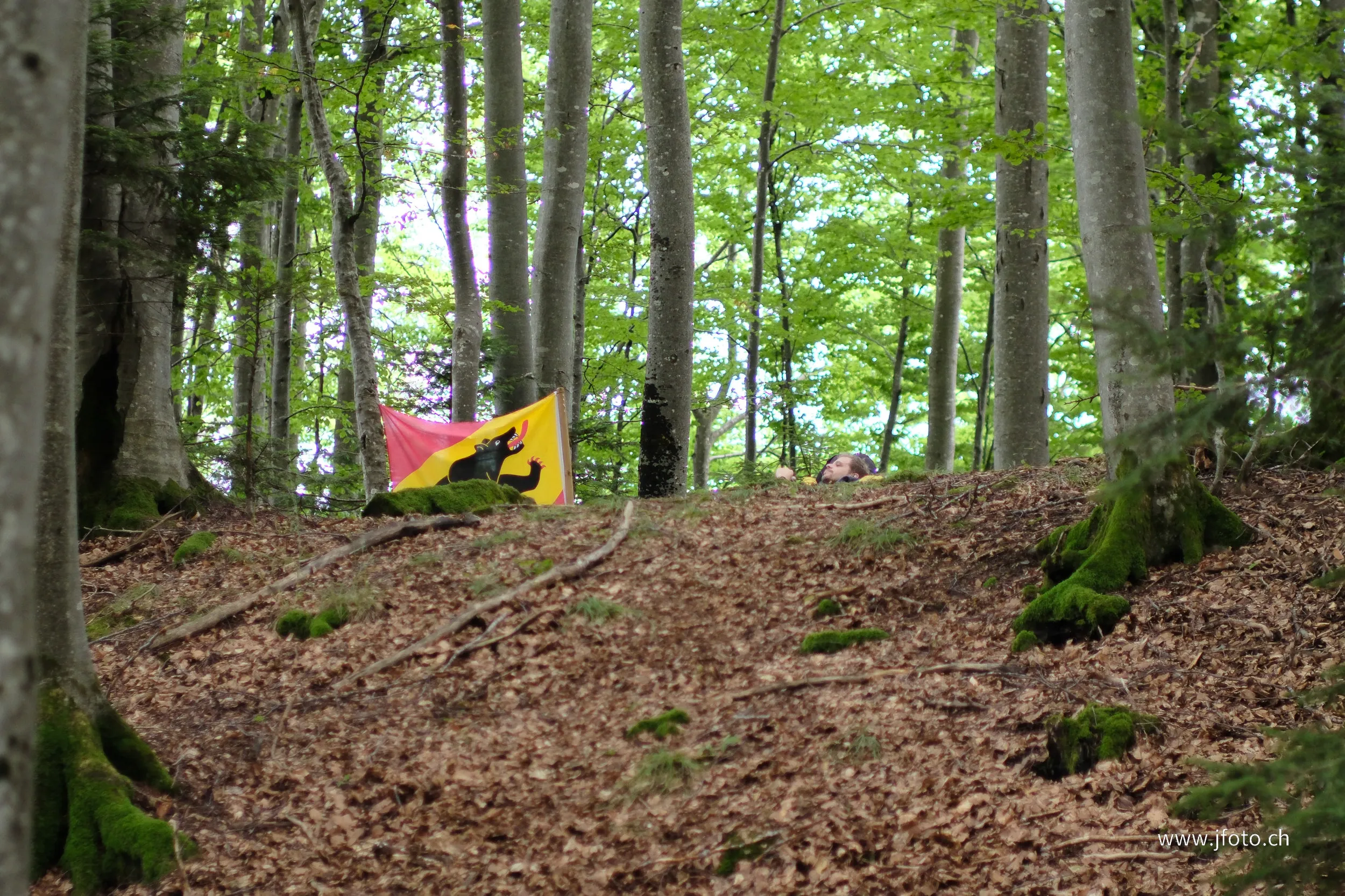 Survie 24h 2025 – 73