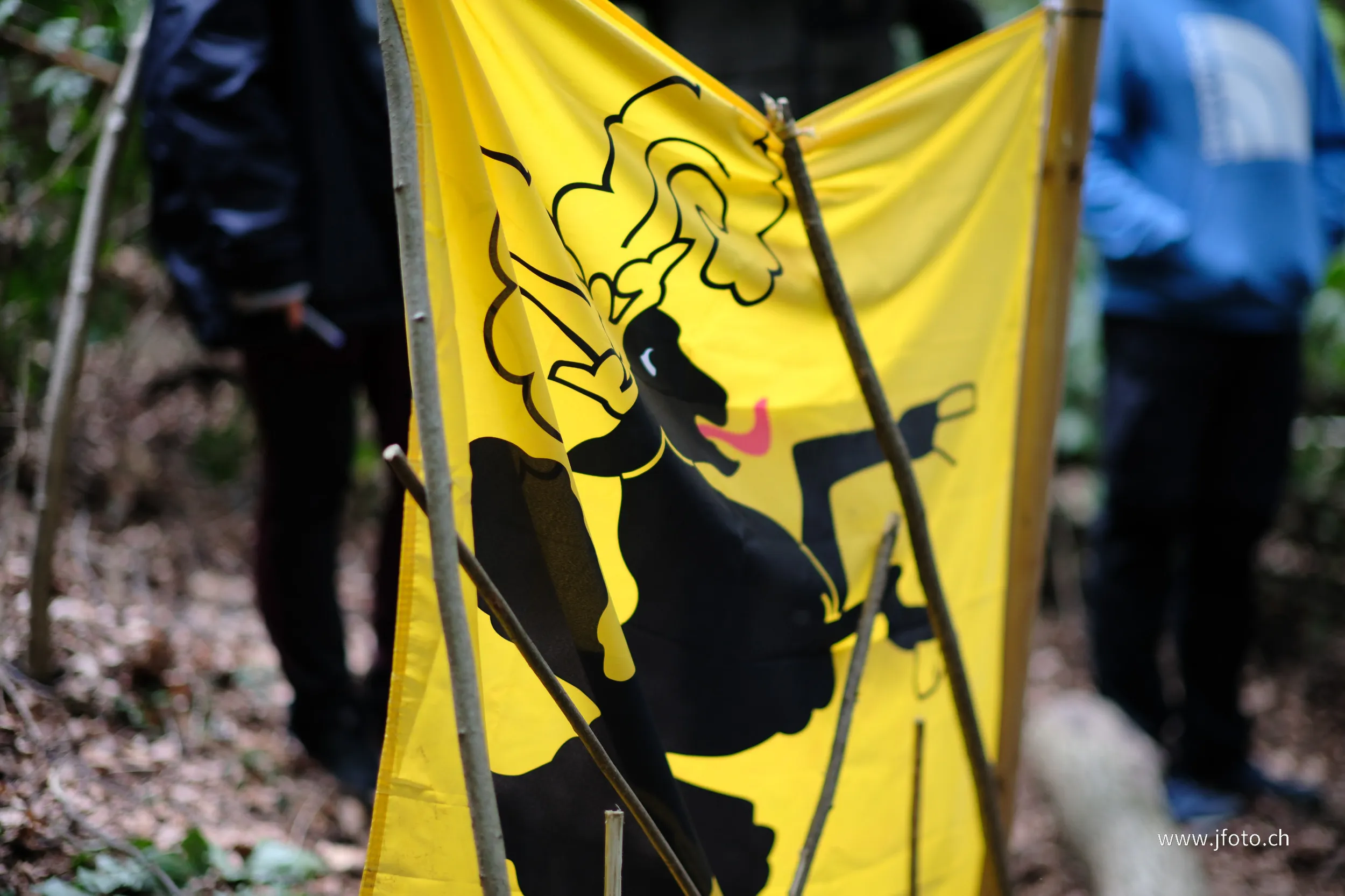 Survie 24h 2025 – 74