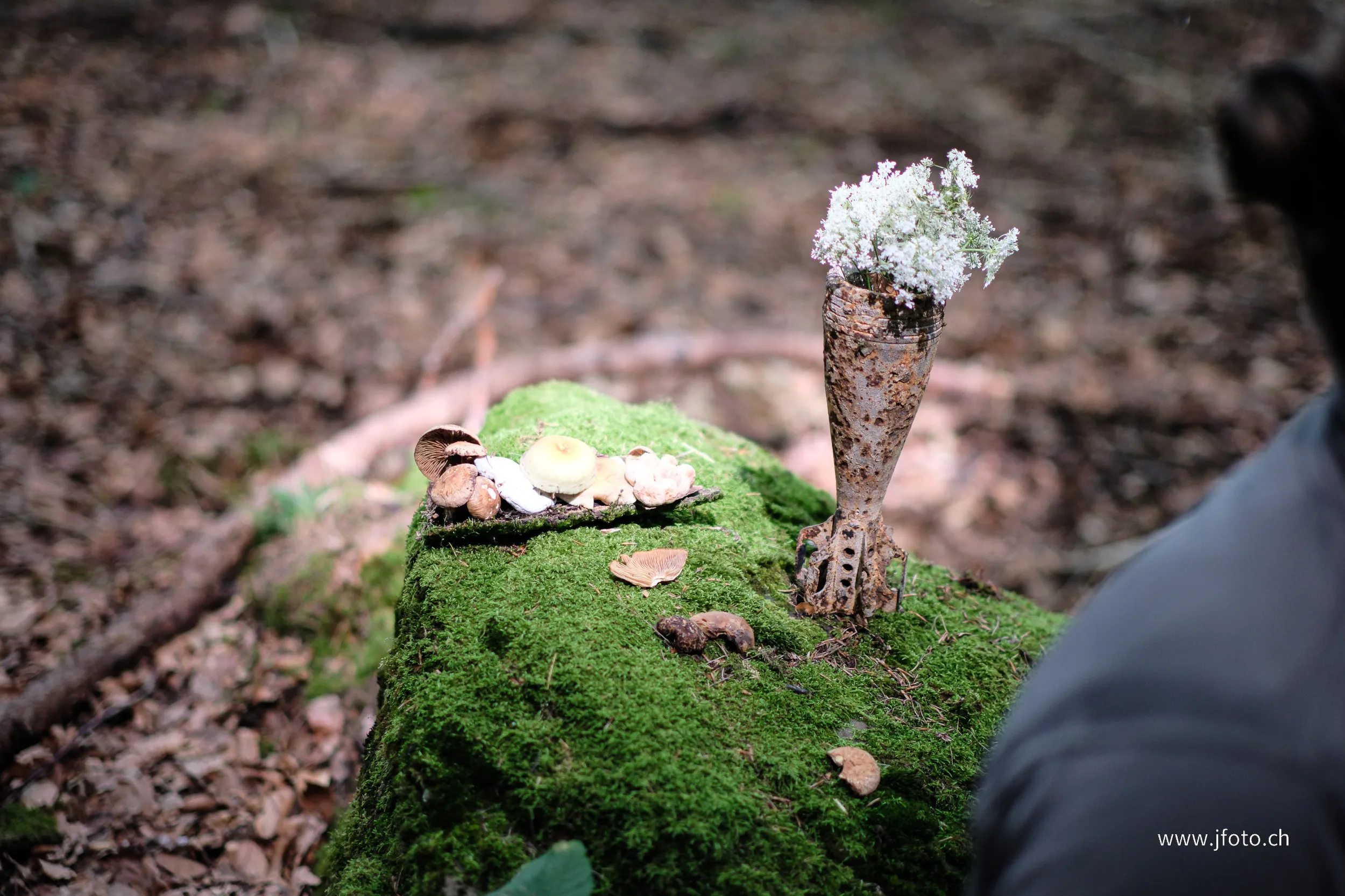 Survie 24h 2025 – 80