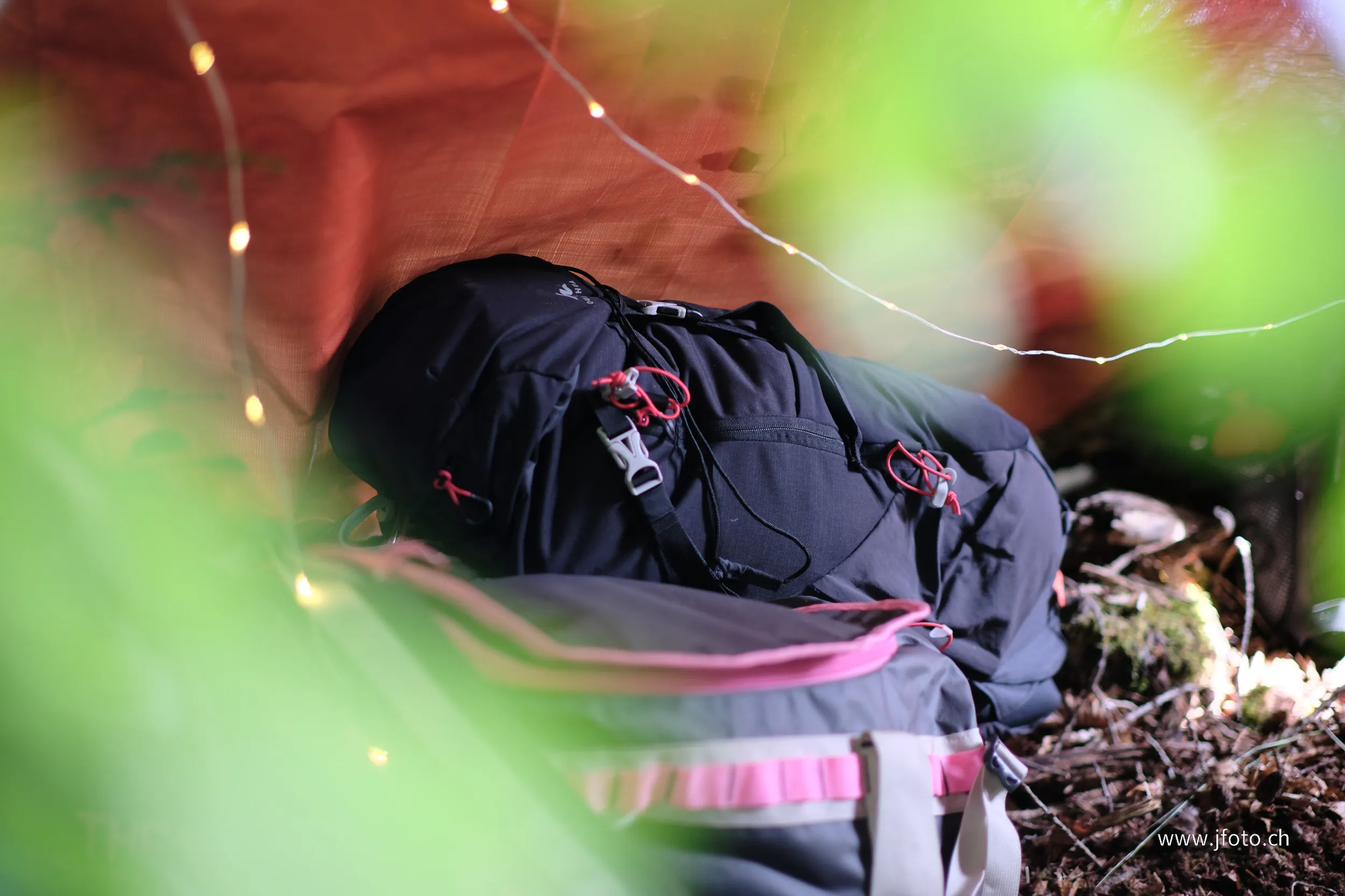 Survie 24h 2025 – 81