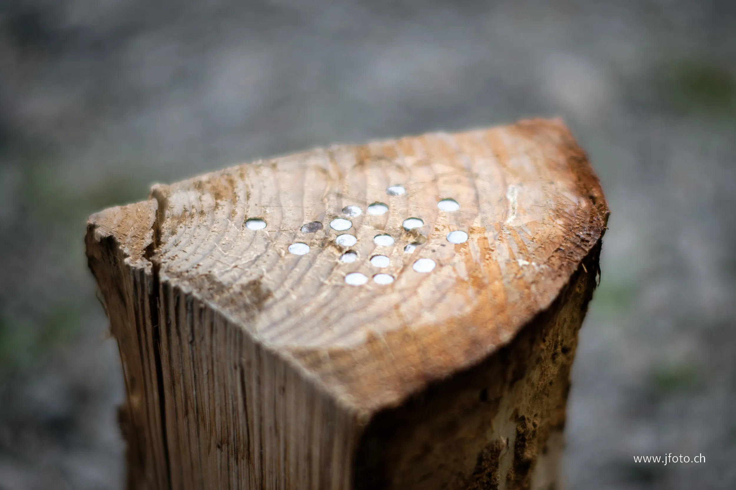 Survie 24h 2025 – 89