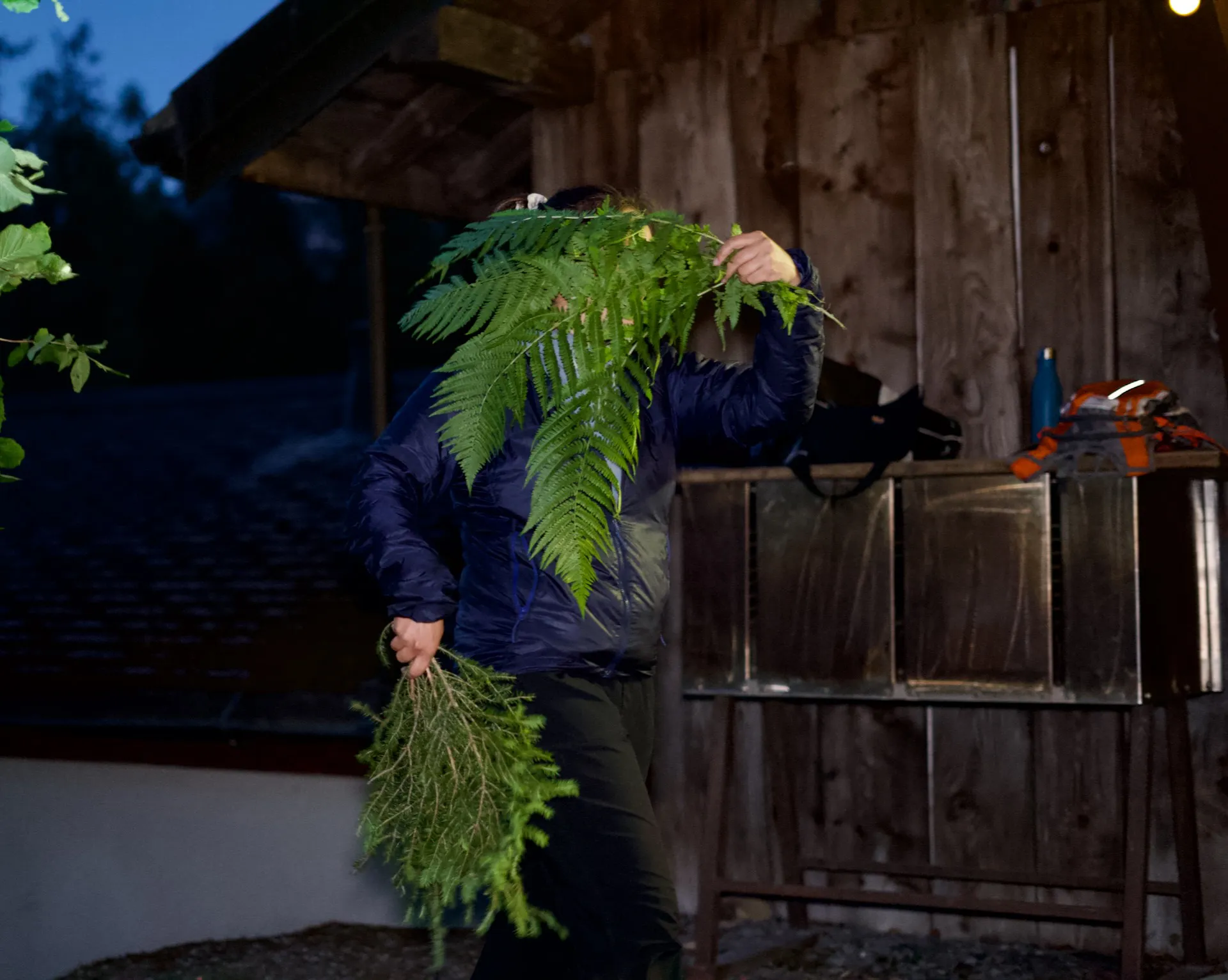 Oddicy Survie 2026 2026 – 173